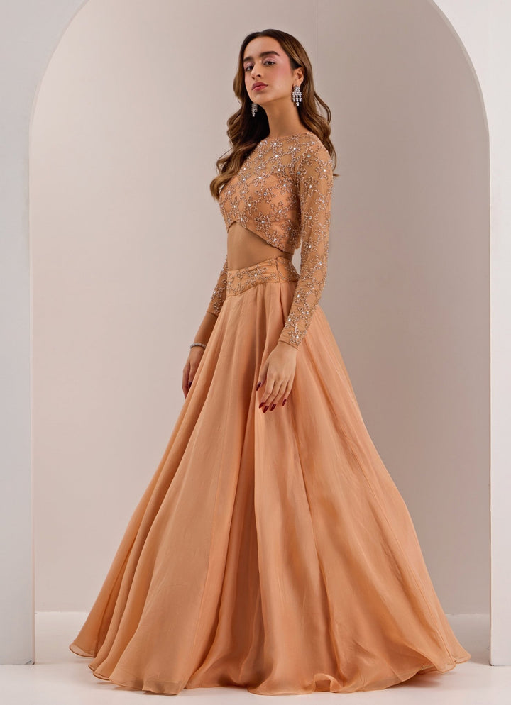 Rose Gold Snowflake Embellished Lehenga Set Silky Bindra - Fabilicious Fashion