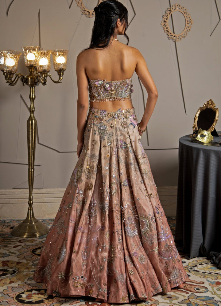 Rose Pink Ombre Embroidered Lehenga Set Moledro - Fabilicious Fashion