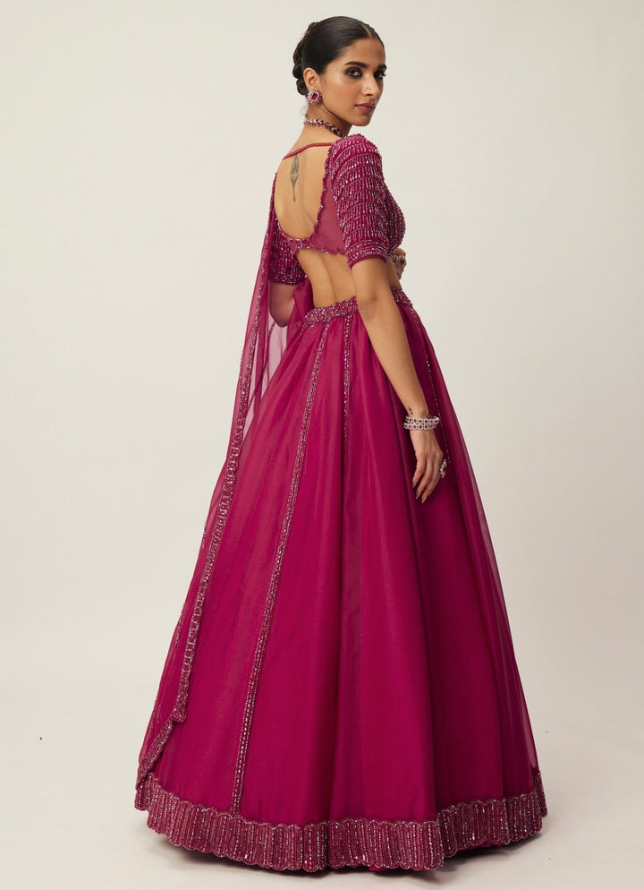 Ruby Red Crystal And Sequin Embroidered Organza Lehenga Set Vvani By Vani Vats - Fabilicious Fashion
