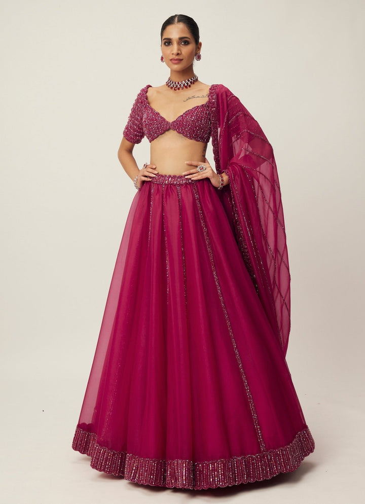 Ruby Red Crystal And Sequin Embroidered Organza Lehenga Set Vvani By Vani Vats - Fabilicious Fashion