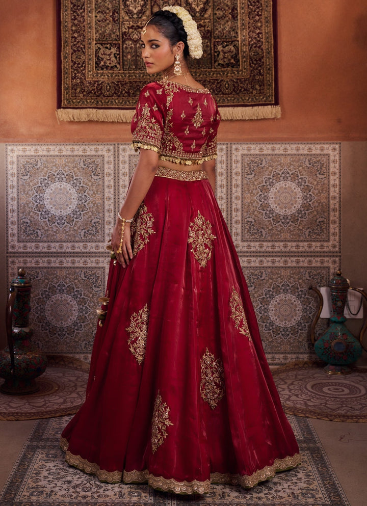 Ruby Red Embroidered Tissue Lehenga Set KAPDA DORI - Fabilicious Fashion