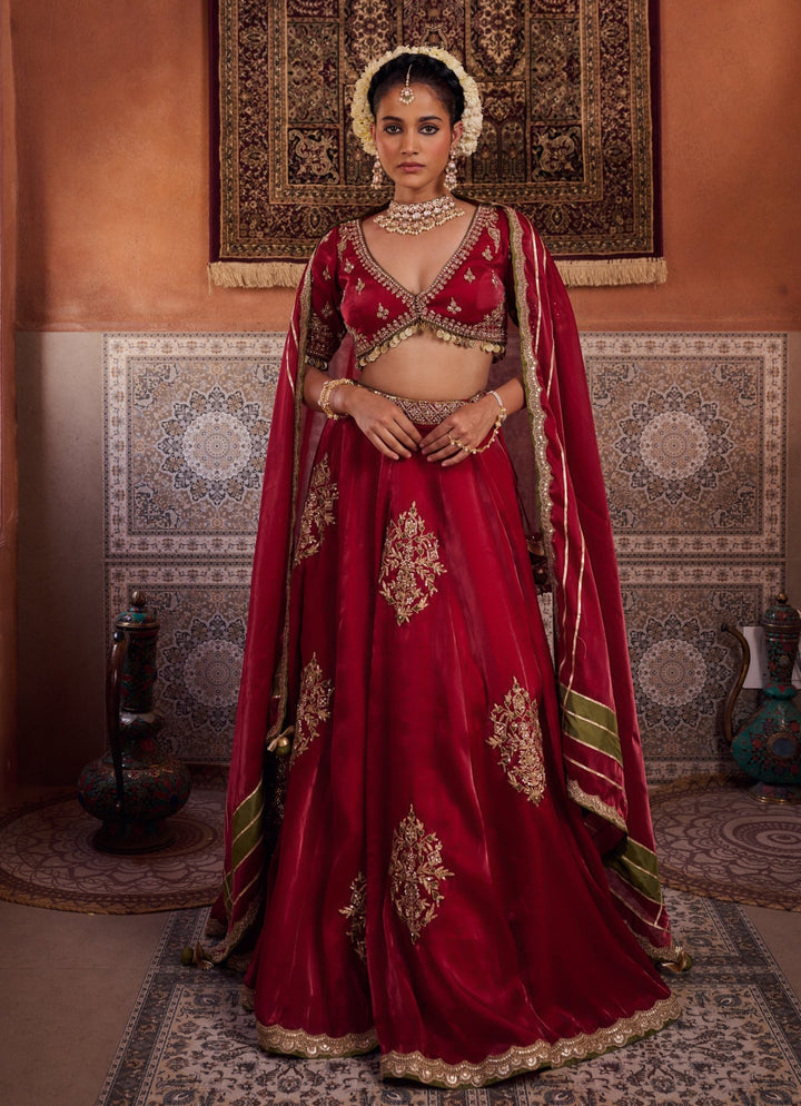 Ruby Red Embroidered Tissue Lehenga Set KAPDA DORI - Fabilicious Fashion