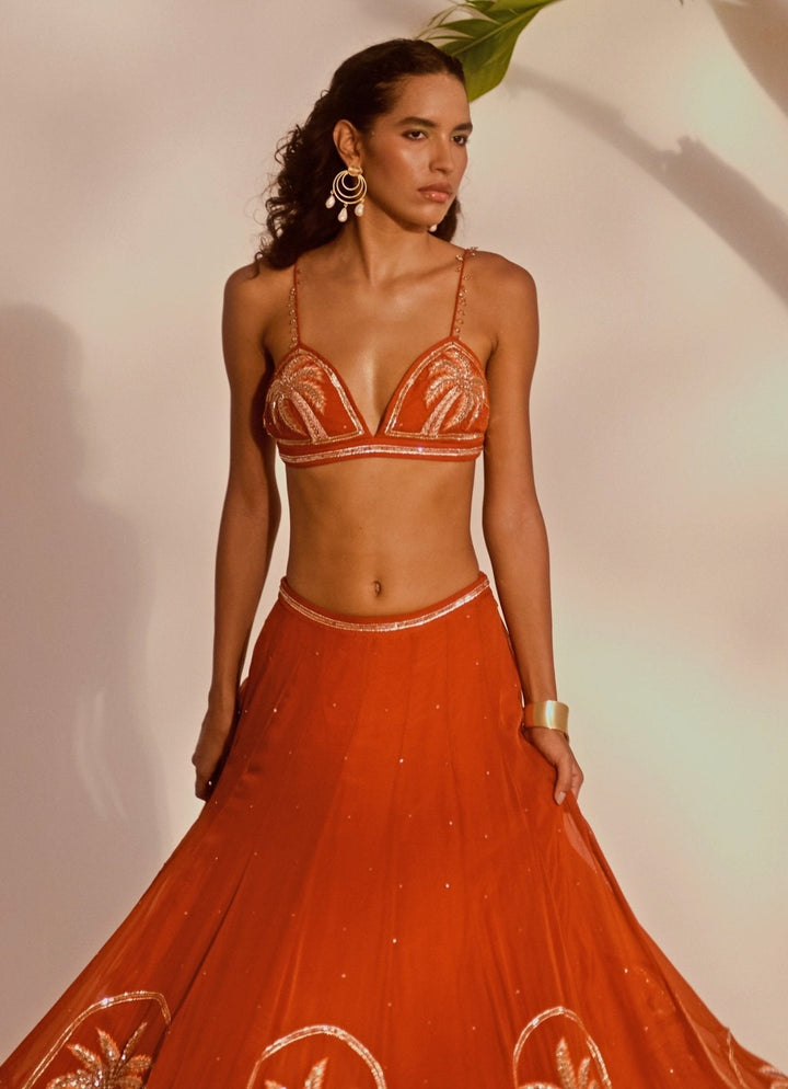 Rust Orange Appliqué Lehenga Set Silky Bindra - Fabilicious Fashion