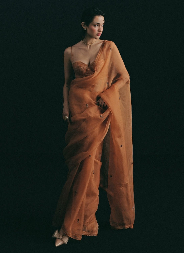 The Little Black Bow Rust Orange Embroidered Organza SareeFabilicious Fashion