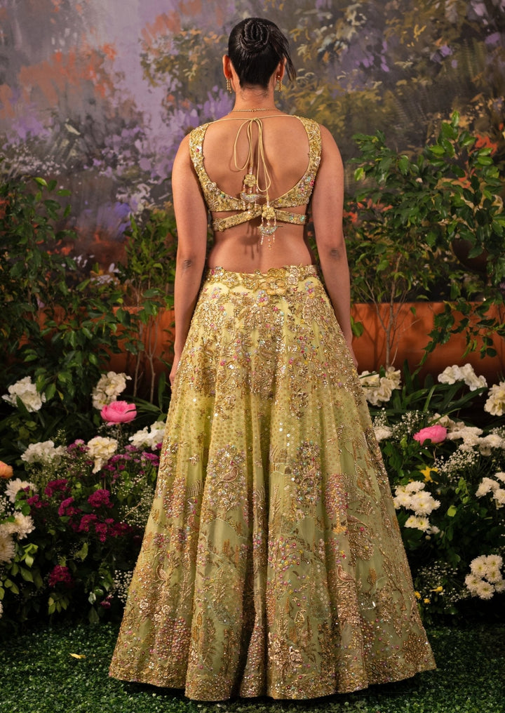 Sage Green Embroidered Organza Lehenga Set Moledro - Fabilicious Fashion
