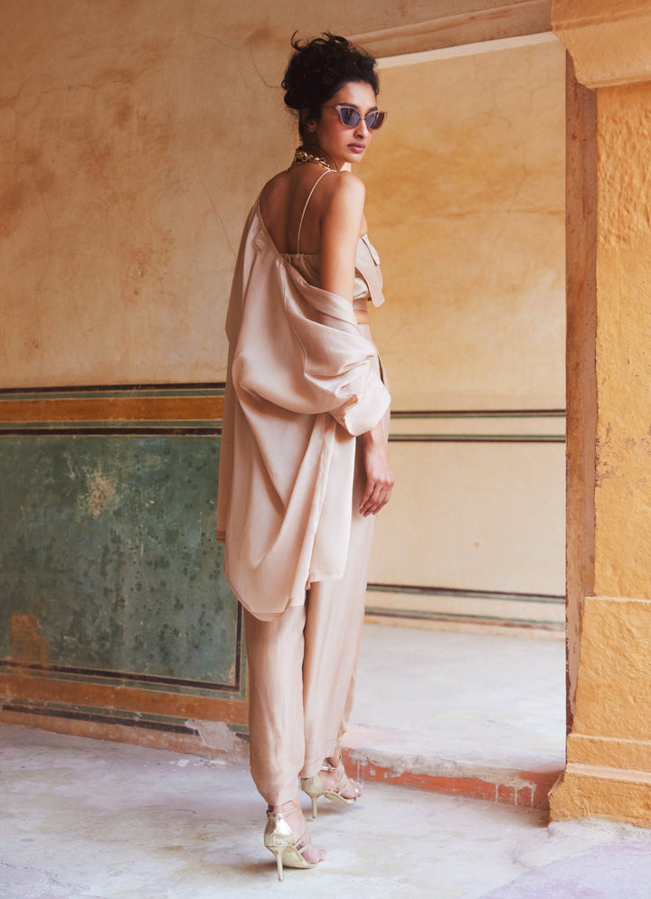 Shell Pink Silk Organza Pant Set With Jacket Paulmi and Harsh - Fabilicious Fashion