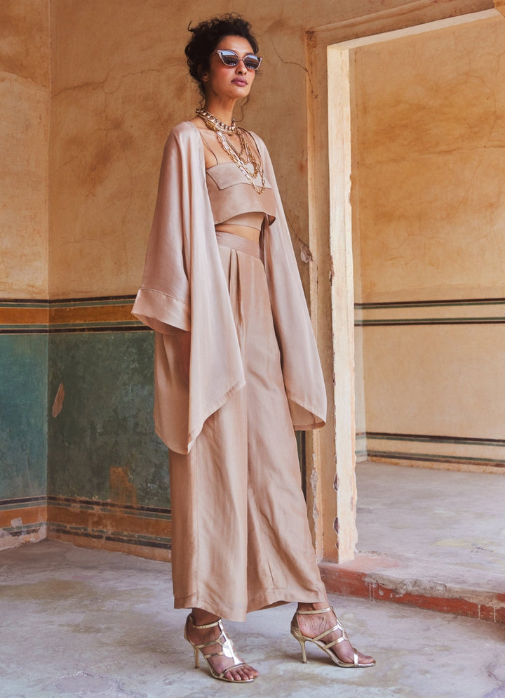 Shell Pink Silk Organza Pant Set With Jacket Paulmi and Harsh - Fabilicious Fashion