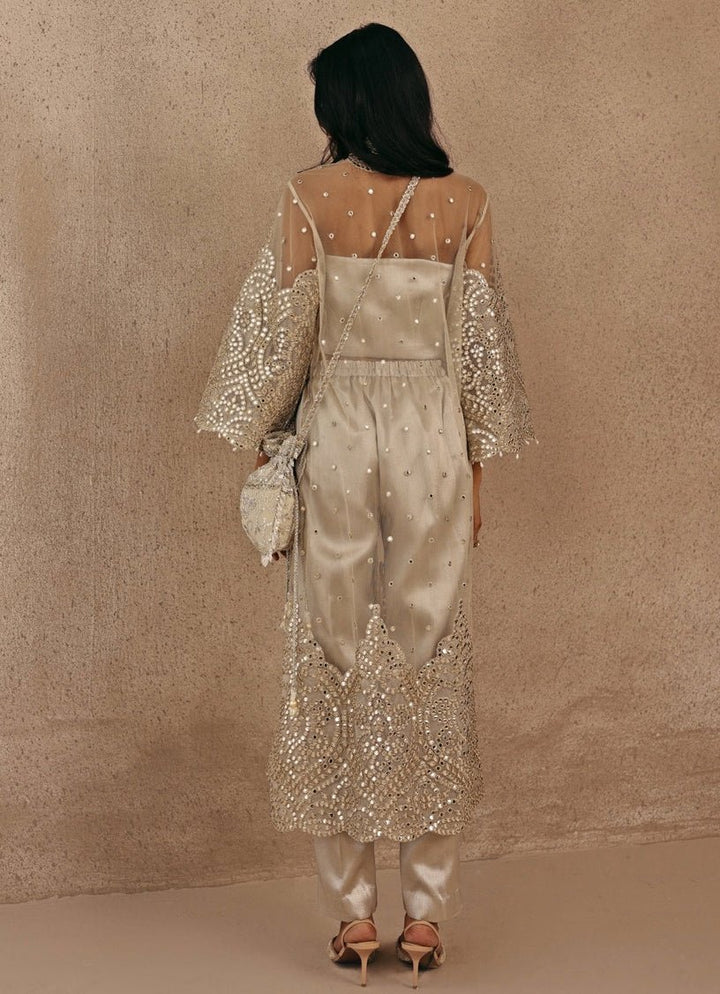 Silver And Nude Soft Net Kurta Pants Set Twenty Nine - Fabilicious Fashion