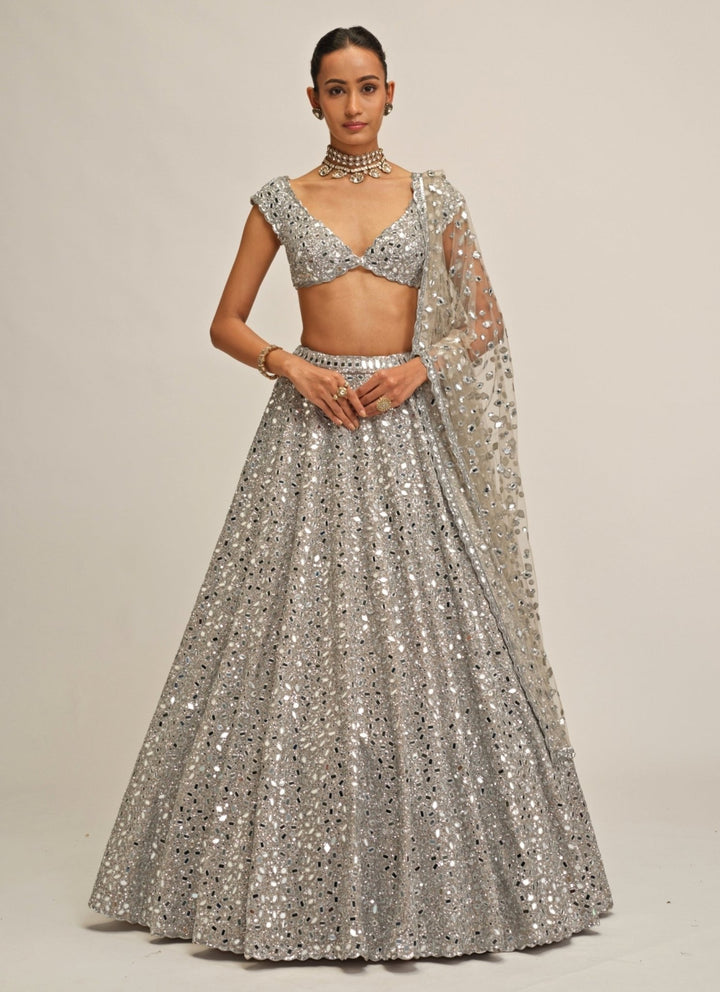 Vvani by Vani Vats Silver Embroidered Crepe LehengaFabilicious Fashion