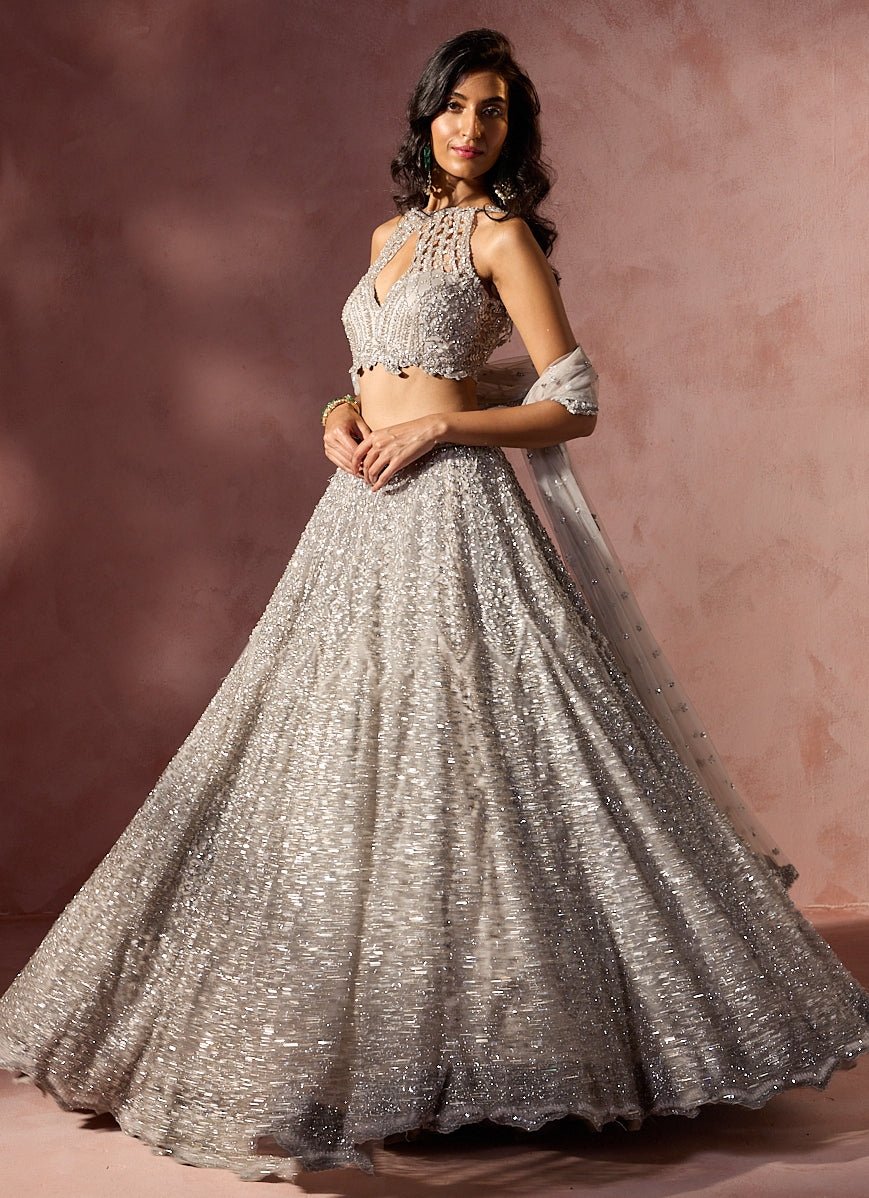Silver Grey Soft Net Lehenga Set Nitika Gujral - Fabilicious Fashion
