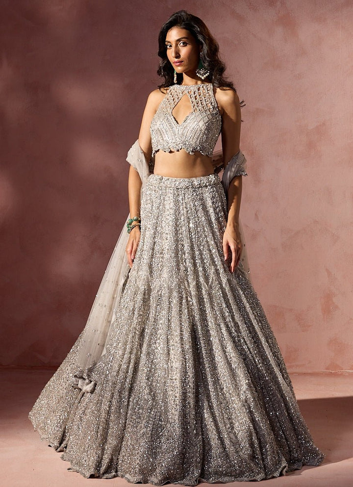 Silver Grey Soft Net Lehenga Set Nitika Gujral - Fabilicious Fashion