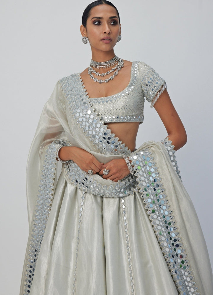 Silver Shimmer Embroidered Organza Lehenga With Classic Blouse Vvani By Vani Vats - Fabilicious Fashion