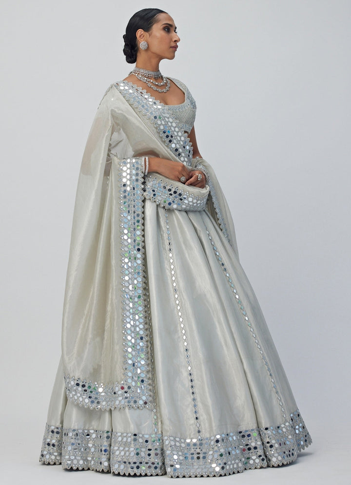 Silver Shimmer Embroidered Organza Lehenga With Classic Blouse Vvani By Vani Vats - Fabilicious Fashion