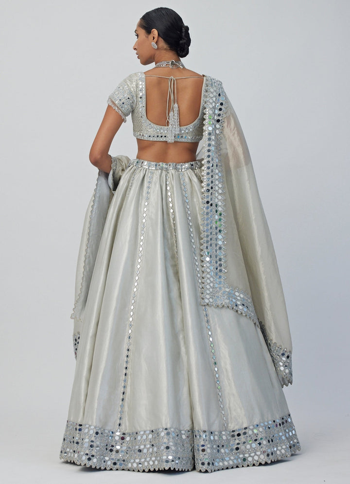 Silver Shimmer Embroidered Organza Lehenga With Classic Blouse Vvani By Vani Vats - Fabilicious Fashion