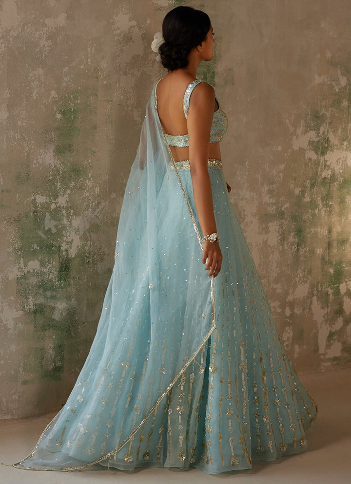 Sky Blue Embroidered Silk Organza Lehenga Zoon Tribe - Fabilicious Fashion