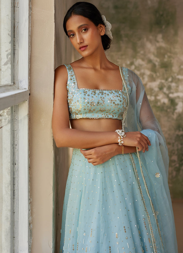 Sky Blue Embroidered Silk Organza Lehenga Zoon Tribe - Fabilicious Fashion
