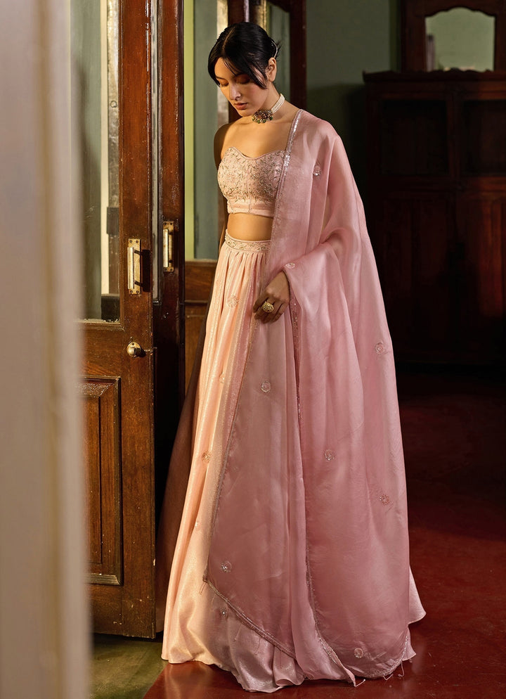 Soft Pink Embellished Satin Corset Lehenga Set Zoon Tribe - Fabilicious Fashion