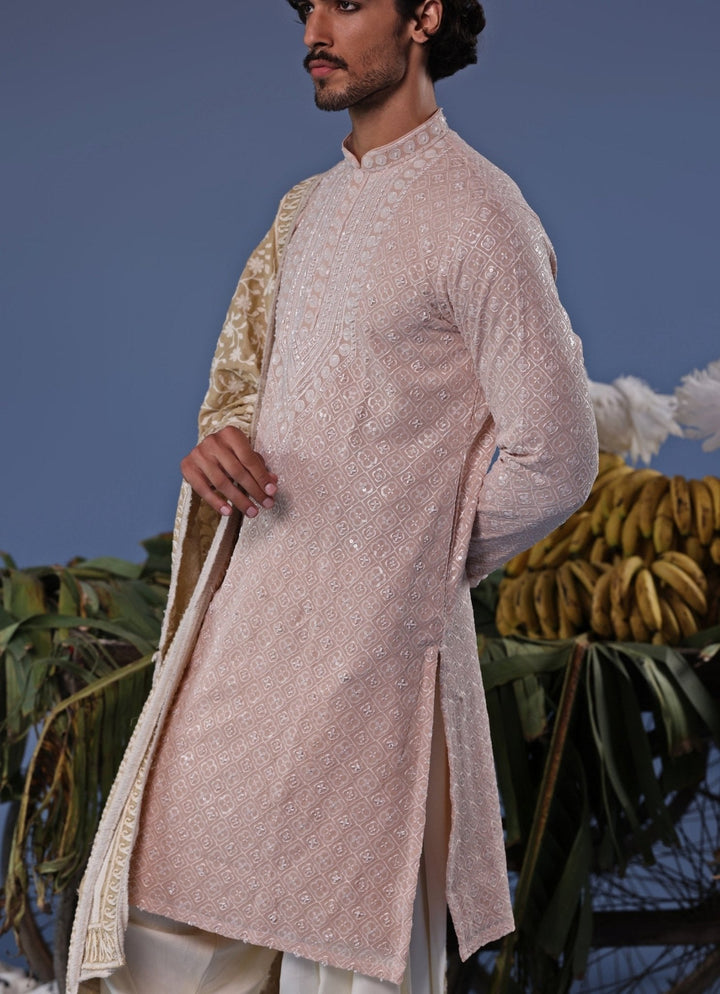 Soft Pink Thread Embroidered Kurta Patiala Pant Set Kalpraag - Fabilicious Fashion
