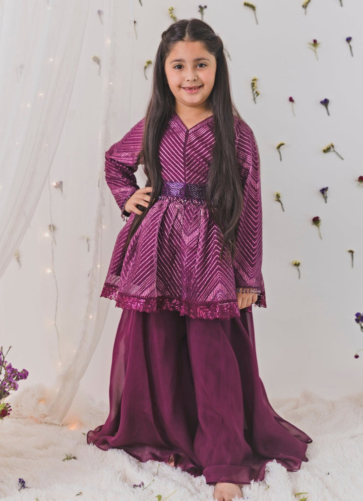 Chotibuti Wine Organza Peplum Palazzo SetFabilicious Fashion