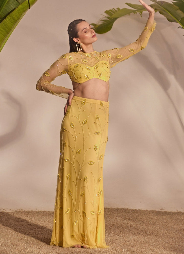Yellow Appliqué Embroidered Skirt Set Silky Bindra - Fabilicious Fashion