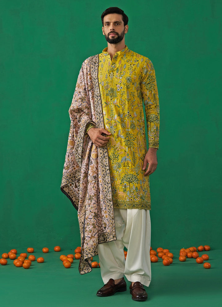 Yellow Embroidered Georgette Kurta Set with Contasting Pantss Kalpraag - Fabilicious Fashion