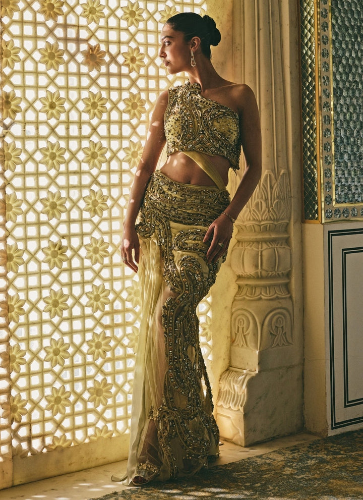 Moledro Yellow One Shoulder Georgette Pre-Draped Saree GownFabilicious Fashion