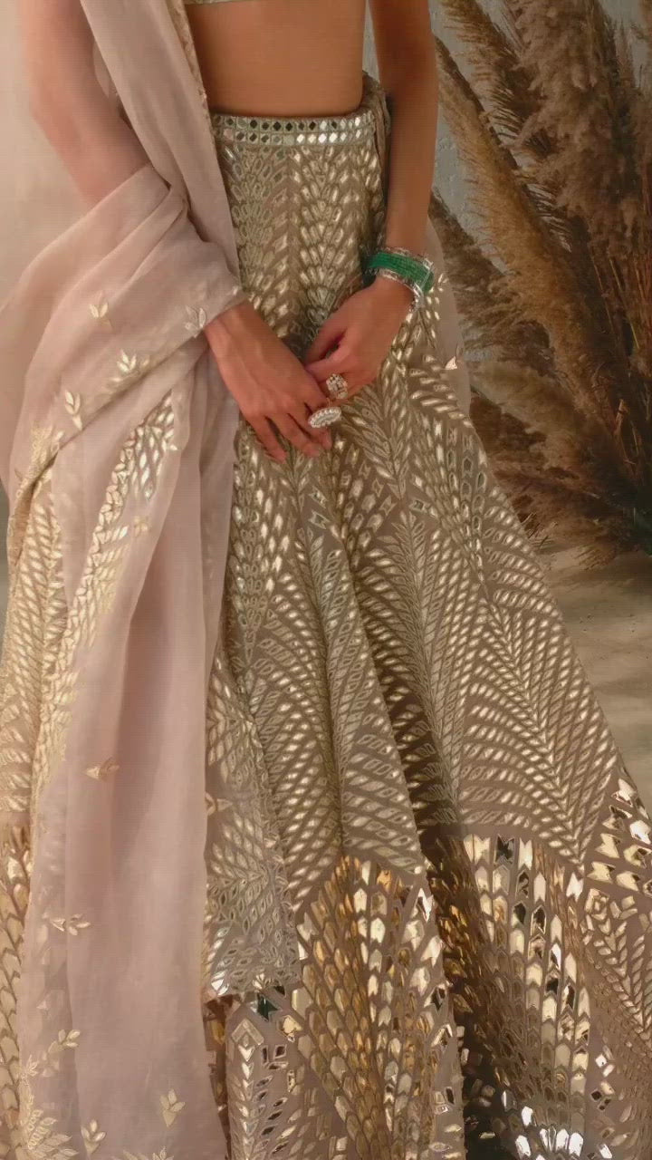 Mink Champagne Gold Lehenga Set