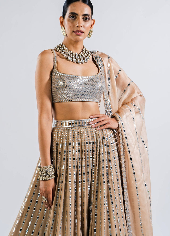 Beige Gold Multi Linear Drop Mirror Lehenga With Metallic Sequinned Blouse Vvani by Vani Vats - Fabilicious Fashion