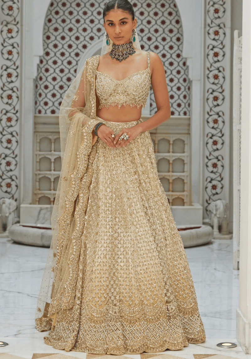 Beige ombre embroidered Nitika Gujral lehenga