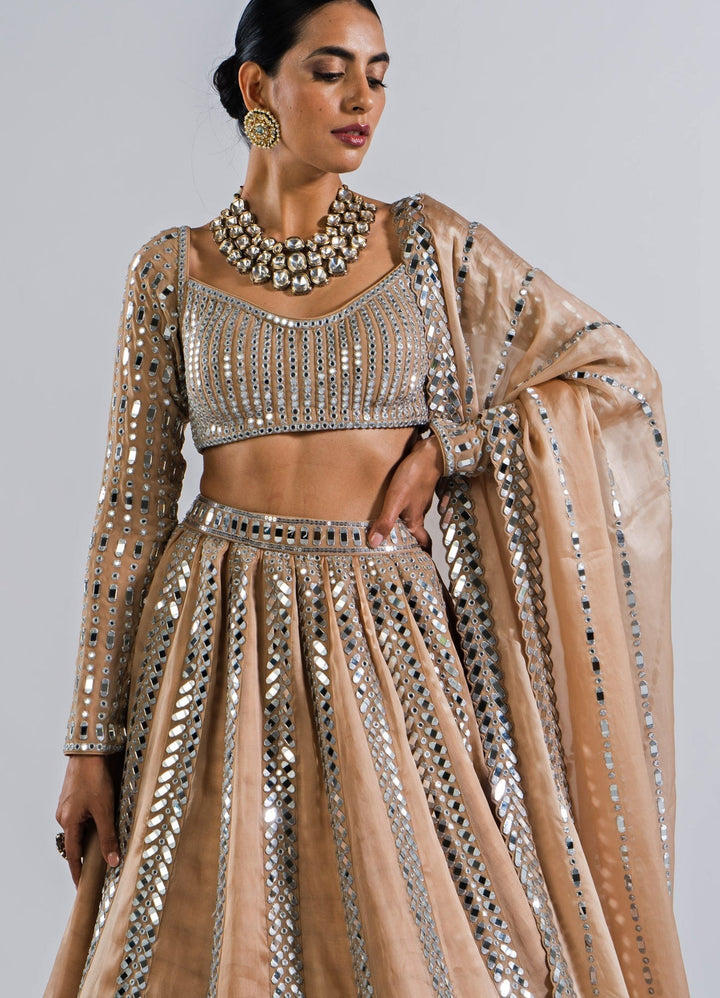 Beige Gold Single Linear Mirror Lehenga And Full Sleeves Blouse Set Vvani by Vani Vats - Fabilicious Fashion