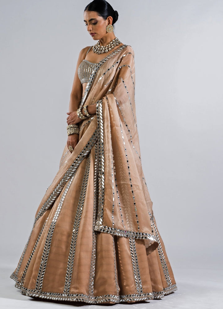 Beige Gold Single Linear Mirror Lehenga With Strappy Mirror Blouse Vvani by Vani Vats - Fabilicious Fashion