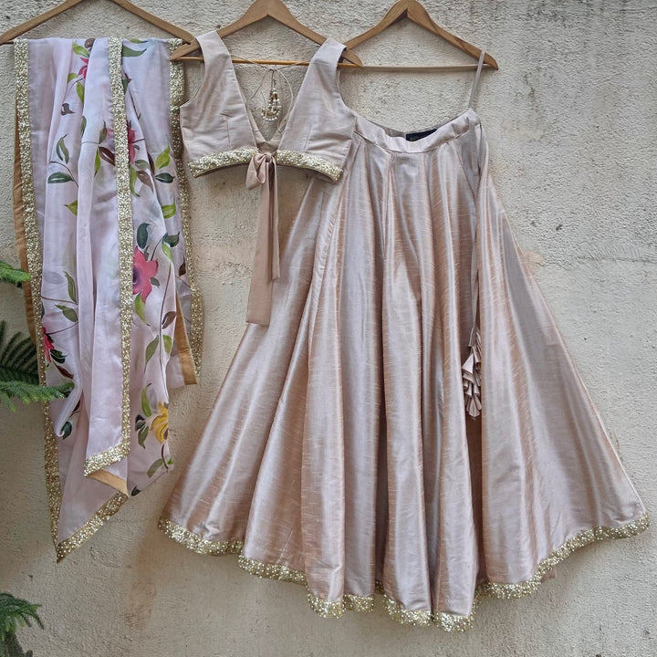 Beige lehenga With Hand Painted Dupatta Priti Sahni - Fabilicious Fashion