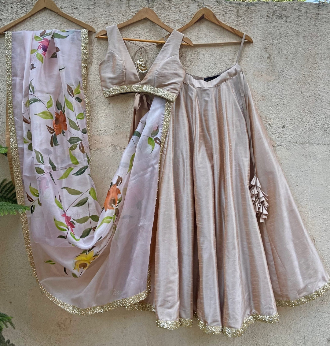 Beige lehenga With Hand Painted Dupatta Priti Sahni - Fabilicious Fashion