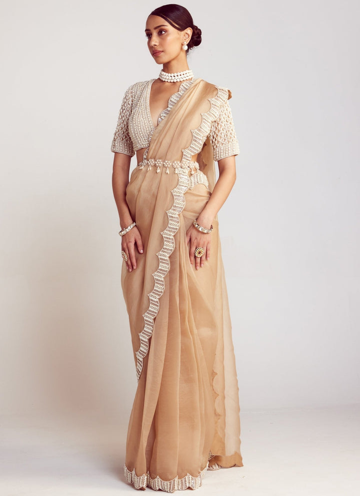 Beige Organza Saree Set With Elbow Sleeved Embellished Blouse Vvani By Vani Vats - Fabilicious Fashion