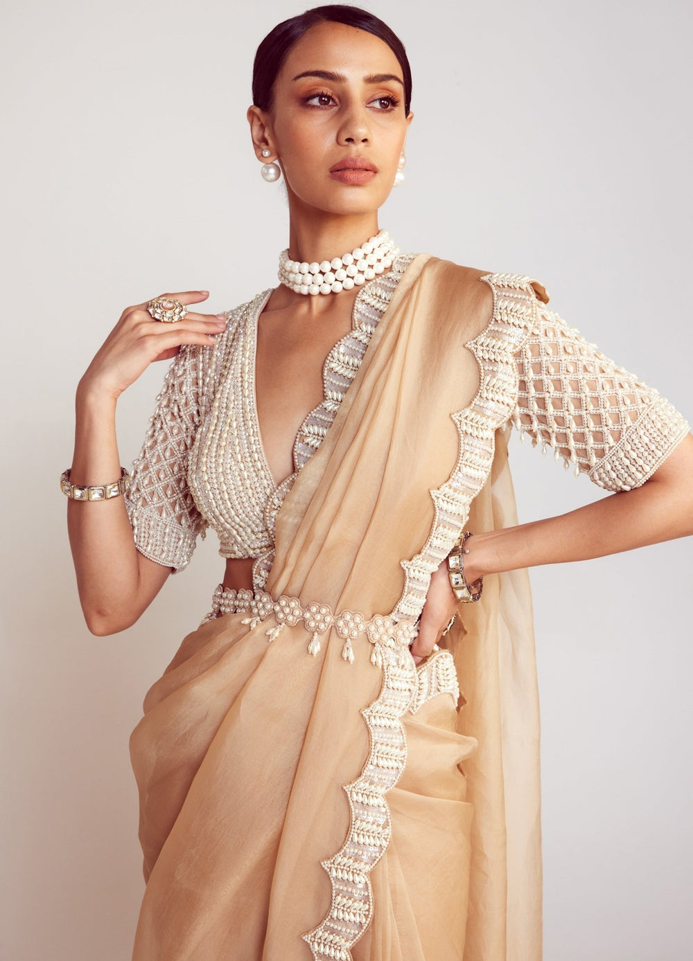 Beige Organza Saree Set With Elbow Sleeved Embellished Blouse Vvani By Vani Vats - Fabilicious Fashion