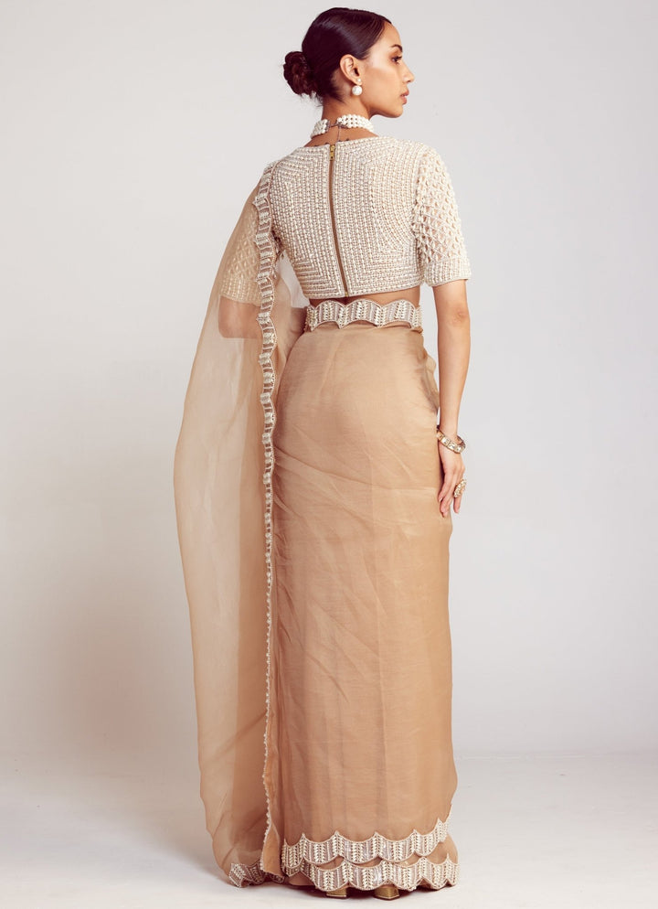Beige Organza Saree Set With Elbow Sleeved Embellished Blouse Vvani By Vani Vats - Fabilicious Fashion