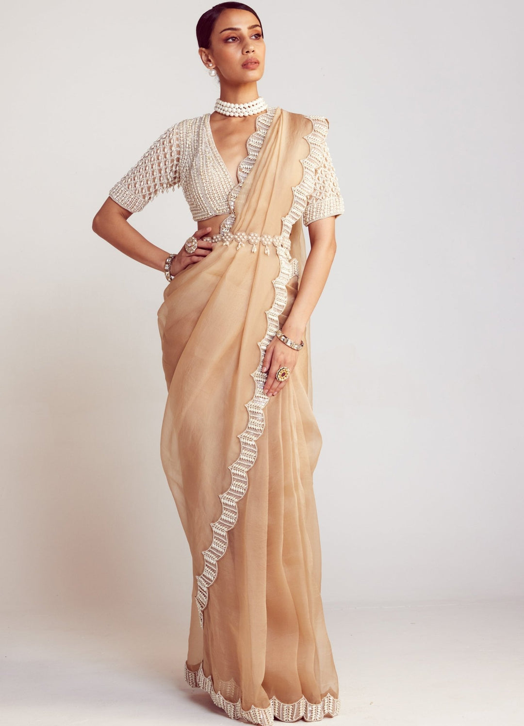 Beige Organza Saree Set With Elbow Sleeved Embellished Blouse Vvani By Vani Vats - Fabilicious Fashion