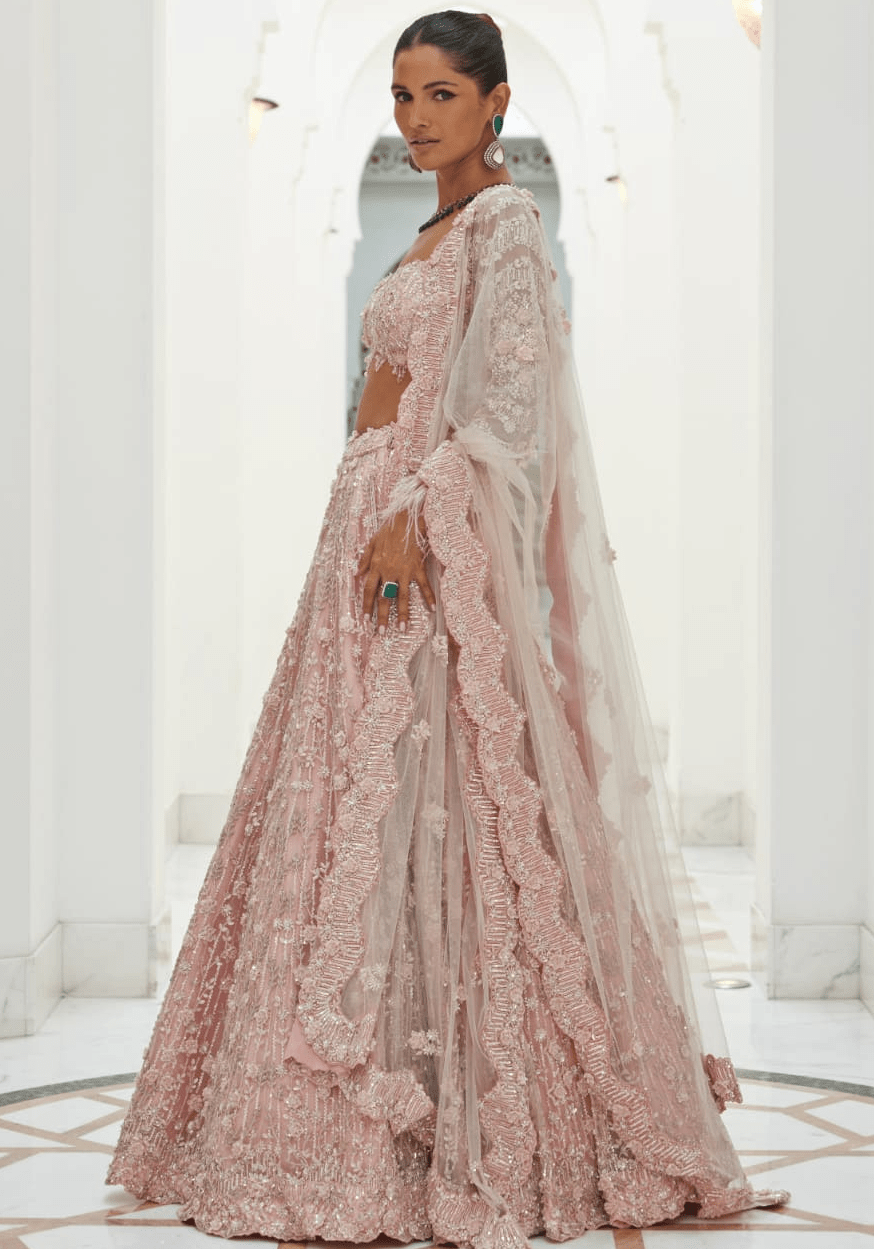 Blush Pink Bridal Lehenga Set Nitika Gujral - Fabilicious Fashion