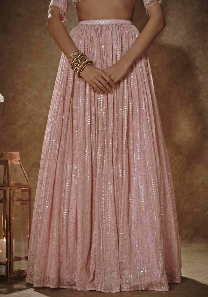 Blush Pink Embroidered Lehenga Set Renee Label - Fabilicious Fashion
