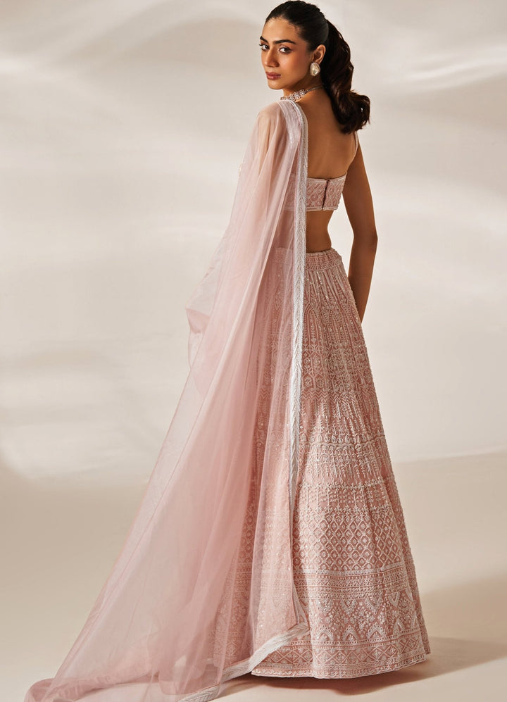 Blush Pink Embroidered Organza Lehenga Set Studio Iris - Fabilicious Fashion