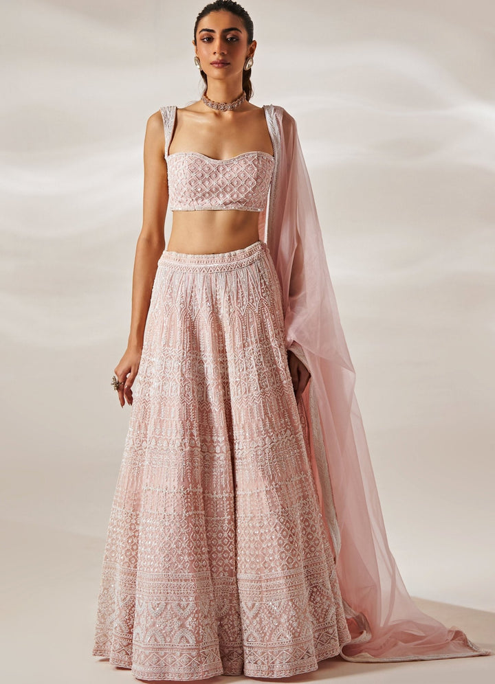 Blush Pink Embroidered Organza Lehenga Set Studio Iris - Fabilicious Fashion