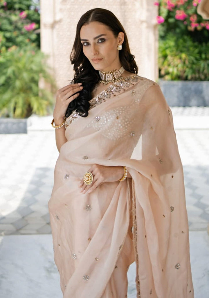 Blush Pink Mirror Embellished Organza Saree Set Esha Koul - Fabilicious Fashion