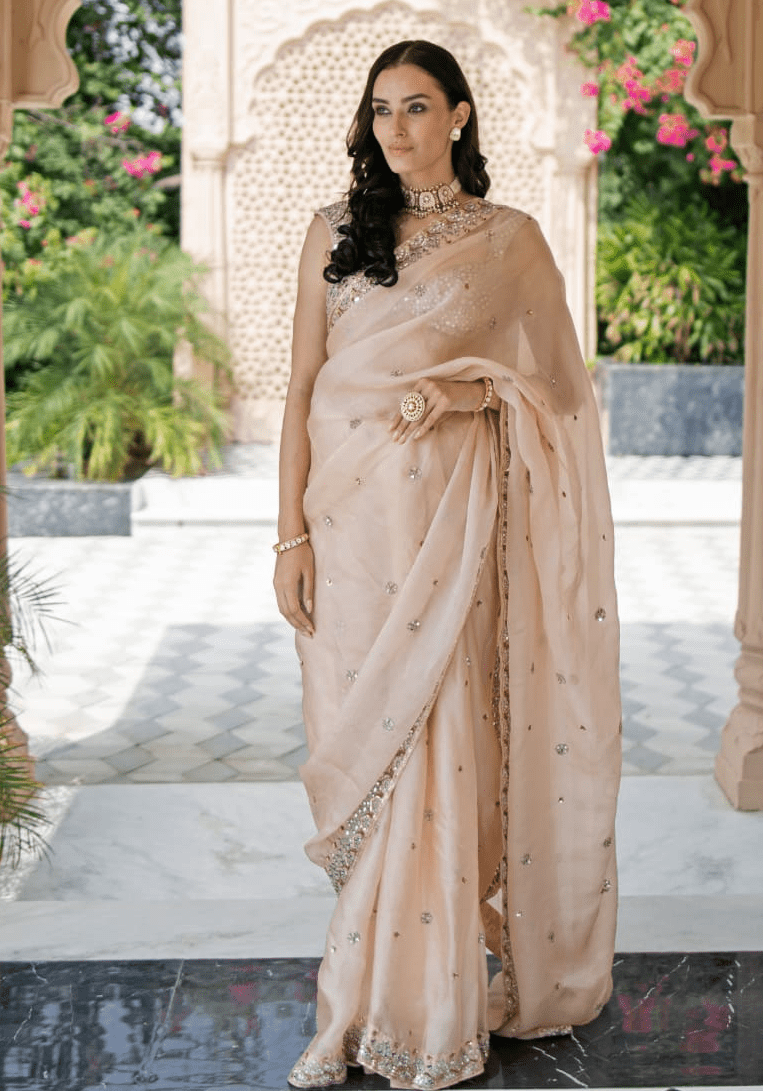 Blush Pink Mirror Embellished Organza Saree Set Esha Koul - Fabilicious Fashion