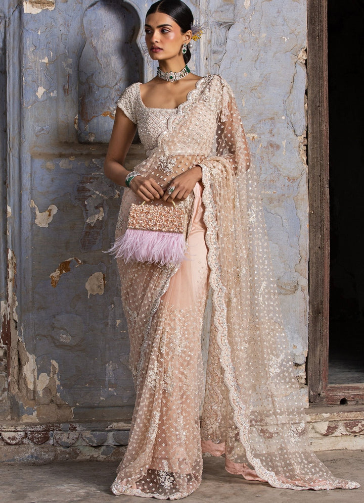 Blush Pink Net Saree With Crystals Set Nitika Gujral - Fabilicious Fashion