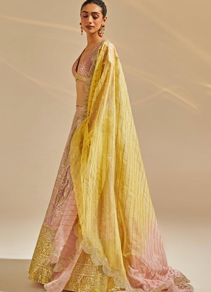 Blush Pink Sequinned Organza Lehenga Set Studio Iris - Fabilicious Fashion