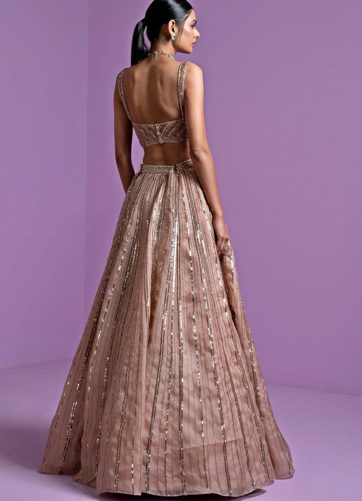 Caramel Hued Gold Pure Organza Lehenga Set Parul Gandhi - Fabilicious Fashion