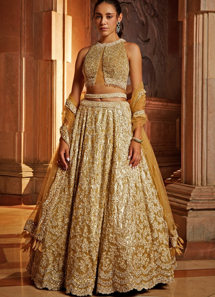 Champagne Gold Tulle Lehenga Set With Embellished Belt Nitika Gujral - Fabilicious Fashion