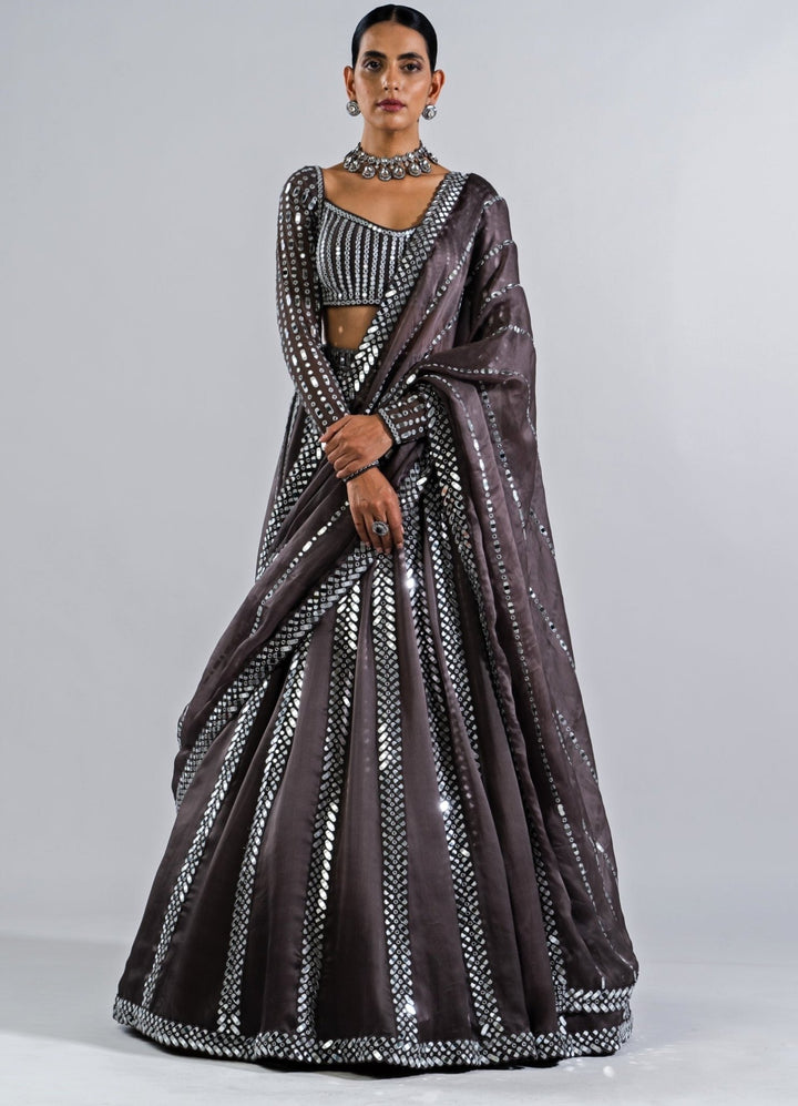 Charcoal Grey Single Linear Mirror Lehenga With Full Sleeves Mirror Blouse Vvani by Vani Vats - Fabilicious Fashion