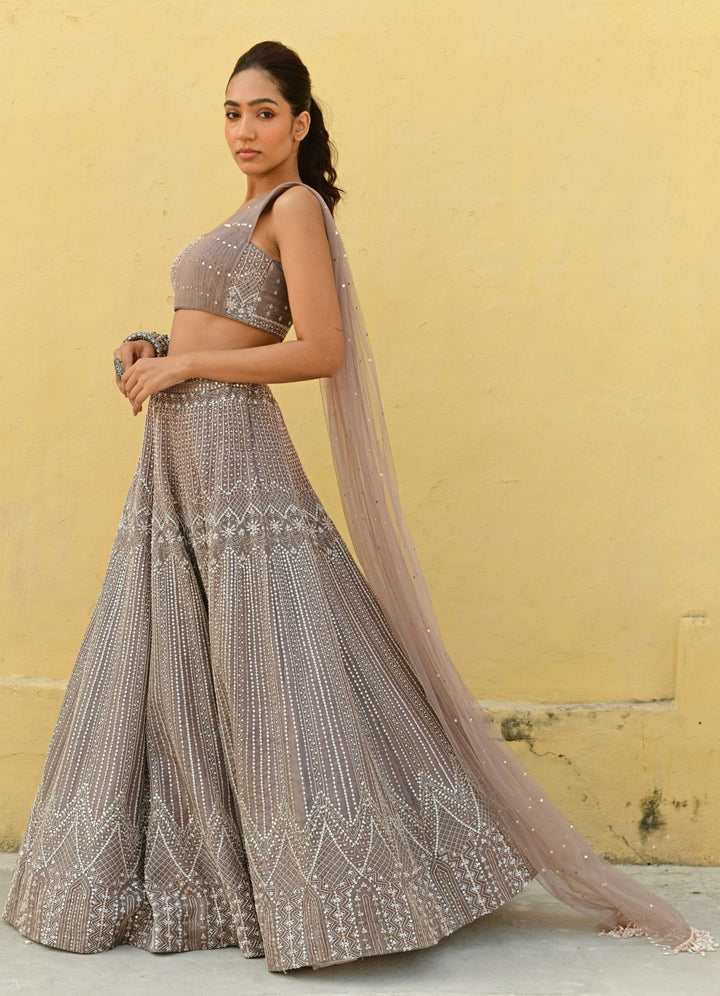 Coffee Brown Pleated Dupatta Embroidered Lehenga Set Chamee n Palak - Fabilicious Fashion