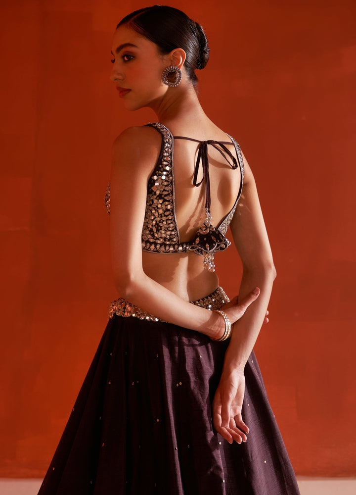 Dark Brown Raw Silk Lehenga Set With Embellished Dupatta Angad Singh - Fabilicious Fashion